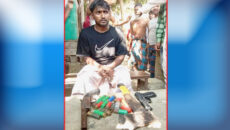 গজারিয়ায় অস্ত্রসহ যুবক আটক, গ্রামবাসী পুলিশের হাতে সোপর্দ