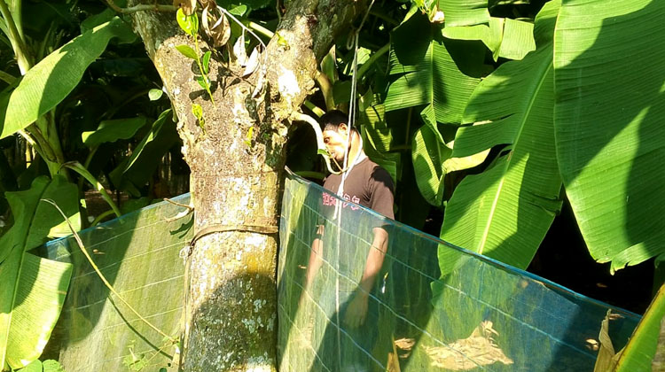 ভালুকায় কাঁঠাল গাছে ঝুলন্ত যুবকের লাশ উদ্ধার