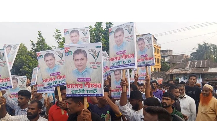 গলাচিপায় জাতীয় সংহতি দিবস ও ধানের শীষের প্রার্থীর দাবিতে নজিরবিহীন জনসমাগম