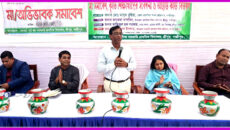 শ্রীপুরে মানসম্মত প্রাথমিক শিক্ষা বাস্তবায়নে মা–অভিভাবক সমাবেশ