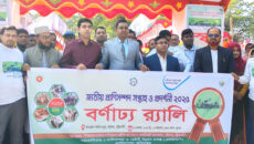 বাউফলে জাতীয় প্রাণিসম্পদ সপ্তাহ ও প্রদর্শনী–২০২৫ উদ্বোধন