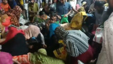 বরিশালে জব্দ জাটকা লুট, মৎস্য অধিদপ্তর প্রাঙ্গণে চরম বিশৃঙ্খলা