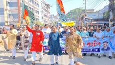 ঝিনাইদহে জাতীয় বিপ্লব ও সংহতি দিবসে বিএনপির র‌্যালি, এমএ মজিদের মনোনয়ন দাবিতে স্লোগান