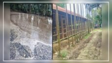 এক মুরগীর খামার বহু পরিবারের মৃত্যুর হুমকিঃ পরিবেশ দূষণে স্বাস্থ্যঝুঁকিতে শতাধিক মানুষ