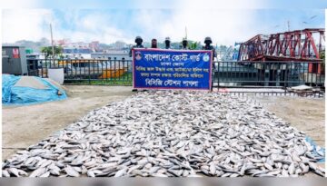 নারায়ণগঞ্জ ও মুন্সিগঞ্জে পৃথক কোস্ট গার্ড অভিযানে ৫,৫০০ কেজি জাটকা জব্দ