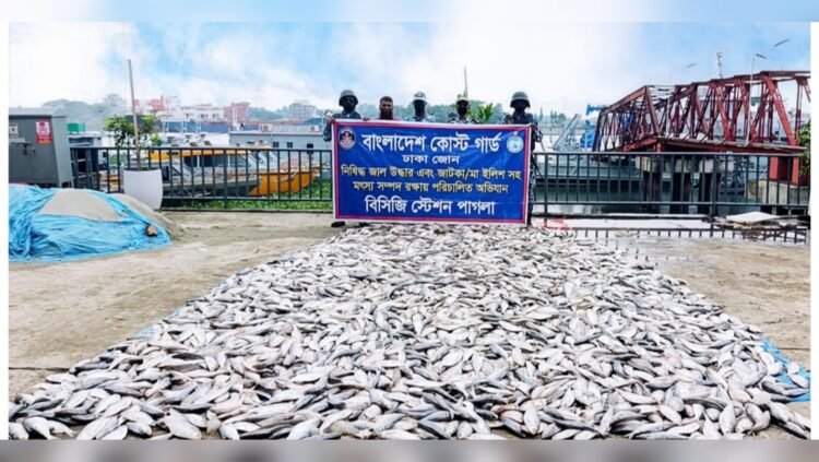 নারায়ণগঞ্জ ও মুন্সিগঞ্জে পৃথক কোস্ট গার্ড অভিযানে ৫,৫০০ কেজি জাটকা জব্দ
