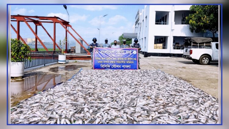 নারায়ণগঞ্জে প্রায় ১৪ লক্ষ টাকা মূল্যের ২ হাজার কেজি জাটকা জব্দ করেছে কোস্ট গার্ড