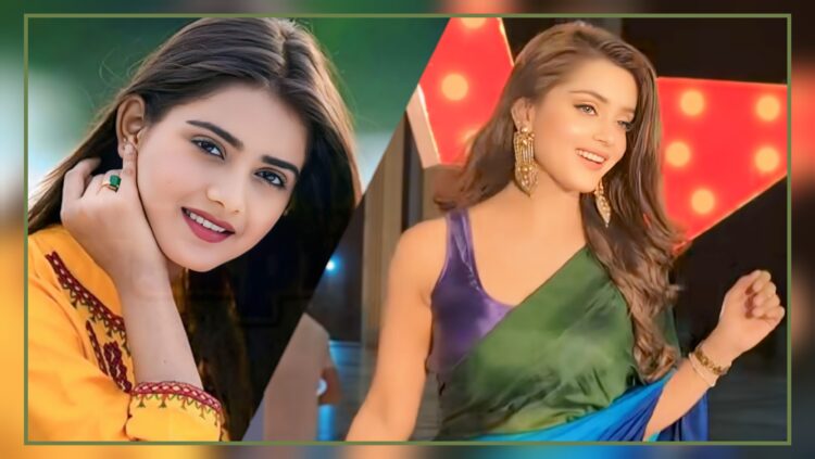 শাড়ি নিয়ে তানজিন তিশার নতুন বিতর্ক! গুলশান থানায় নারী উদ্যোক্তার জিডি