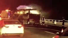 মদিনার কাছে বাস-ট্যাংকার সংঘর্ষে ৪২ ওমরাহযাত্রী নিহত