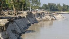 কুড়িগ্রামে নদীভাঙনে নিঃস্ব পাঁচ শতাধিক পরিবার: ব্রহ্মপুত্র ও দুধকুমারে তীব্র ভাঙন, আশ্রয়হীন মানুষের হাহাকার