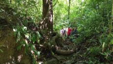 খাগড়াছড়ির পাবলাখালী মৌজাবন: স্থানীয়দের উদ্যোগে