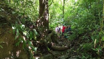 খাগড়াছড়ির পাবলাখালী মৌজাবন: স্থানীয়দের উদ্যোগে