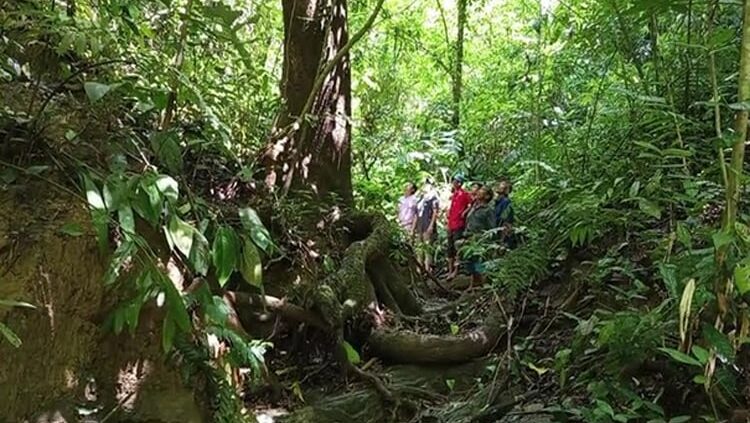 খাগড়াছড়ির পাবলাখালী মৌজাবন: স্থানীয়দের উদ্যোগে