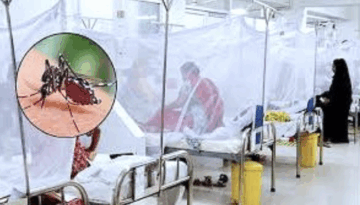 দেশে ডেঙ্গুতে আরও ৫ মৃত্যু, একদিনে হাসপাতালে ভর্তি ১১৪৭