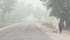 পঞ্চগড়ে বাড়ছে শীতের দাপট, তেঁতুলিয়ায় তাপমাত্রা ১৪.৯ ডিগ্রি