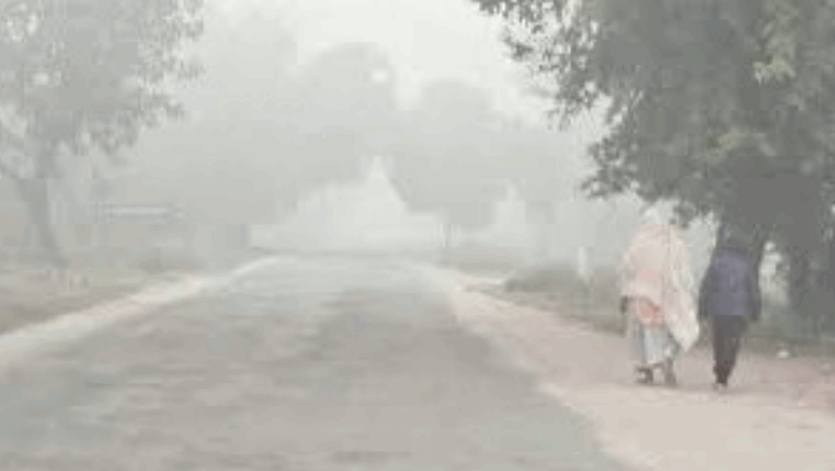 পঞ্চগড়ে বাড়ছে শীতের দাপট, তেঁতুলিয়ায় তাপমাত্রা ১৪.৯ ডিগ্রি