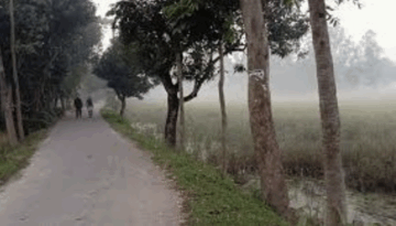 তেঁতুলিয়ায় ফের ১৪ ডিগ্রির ঘরে তাপমাত্রা, জেঁকে বসছে কনকনে শীত