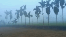 ডিসেম্বরে দোরগোড়ায় শৈত্যপ্রবাহ, তেঁতুলিয়ায় নেমেছে শীতের কাঁপন