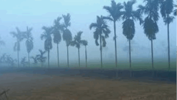 ডিসেম্বরে দোরগোড়ায় শৈত্যপ্রবাহ, তেঁতুলিয়ায় নেমেছে শীতের কাঁপন