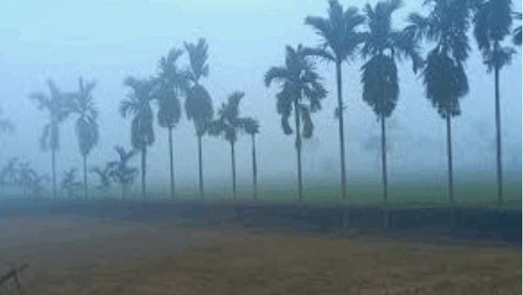 ডিসেম্বরে দোরগোড়ায় শৈত্যপ্রবাহ, তেঁতুলিয়ায় নেমেছে শীতের কাঁপন