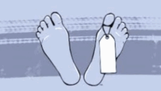 রাজধানীতে সড়ক দুর্ঘটনায় প্রাণ গেল মাছ বিক্রেতার