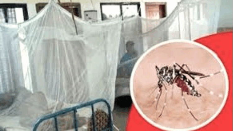 ডেঙ্গুতে ২৪ ঘণ্টায় ৬ জনের মৃত্যু, হাসপাতালে ভর্তি ১,১৯৫ জন
