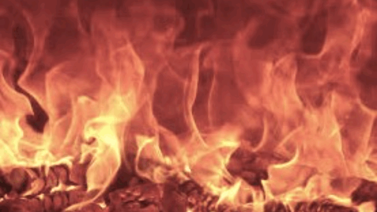 মানিকগঞ্জে পার্কিং করা স্কুলবাসে রহস্যজনক অগ্নিকাণ্ড