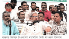 গণভোট-সনদ জনগণ বোঝে না: ফখরুল