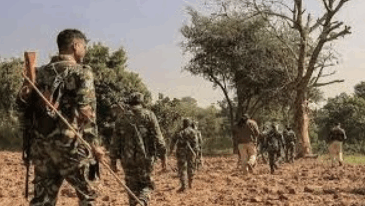 ছত্তিশগড়ে পুলিশের সঙ্গে সংঘর্ষে ৬ মাওবাদী নিহত, অস্ত্র-বিস্ফোরক উদ্ধার