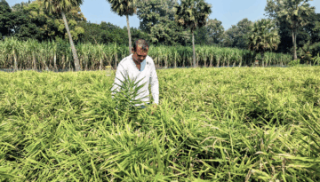 ভালুকায় আধুনিক পদ্ধতিতে আদা চাষে সফল আক্তার হোসেন