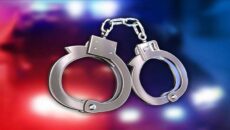 পিরোজপুরে ডিবির অভিযানে ৬০ হাজার ইয়াবাসহ মিজানুর জামান গ্রেপ্তার