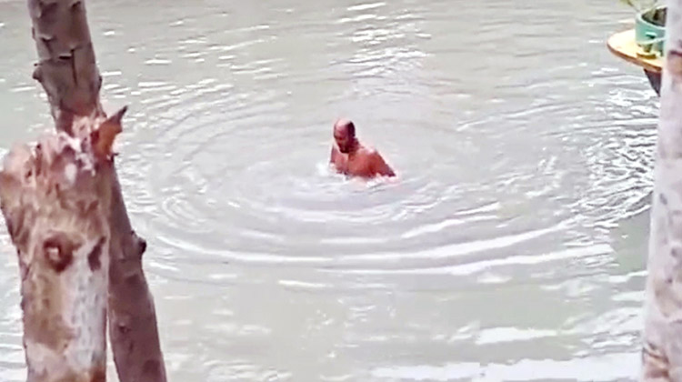 ৫০০ টাকায় বাজি ধরে কনকনে শীতে খালে নেমে শতাধিক ডুব; কৃষকের মৃত্যু