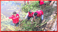 বাগেরহাটে রেডক্রিসেন্ট সদস্যদের স্বেচ্ছাশ্রমে পুকুরের কচুরিপানা পরিষ্কার
