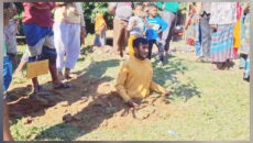 শ্রীপুরে টাকা না পেয়ে বাবা-মাকে মারধর, মাটিতে পুঁতে শাস্তি দিলো গ্রামবাসী