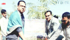 মধুপুর-ময়মনসিংহ মহাসড়কে বৃক্ষরোপণ কর্মসূচি