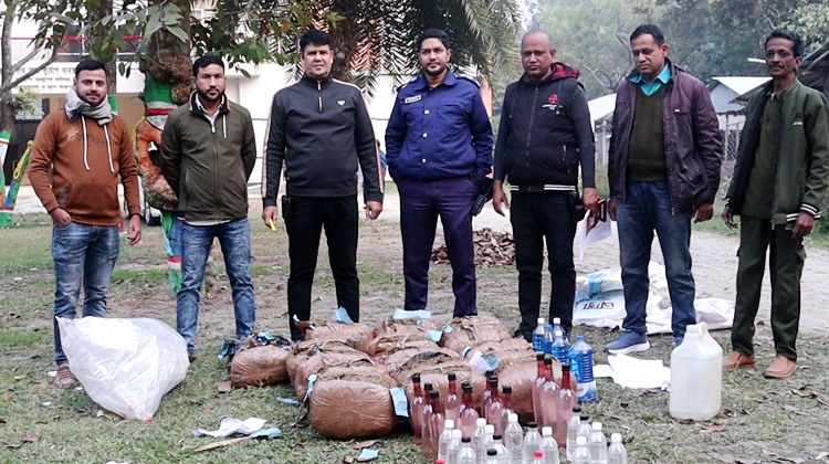 নওগাঁয় বিপুল পরিমাণ গাঁজা ও মদ ধ্বংস