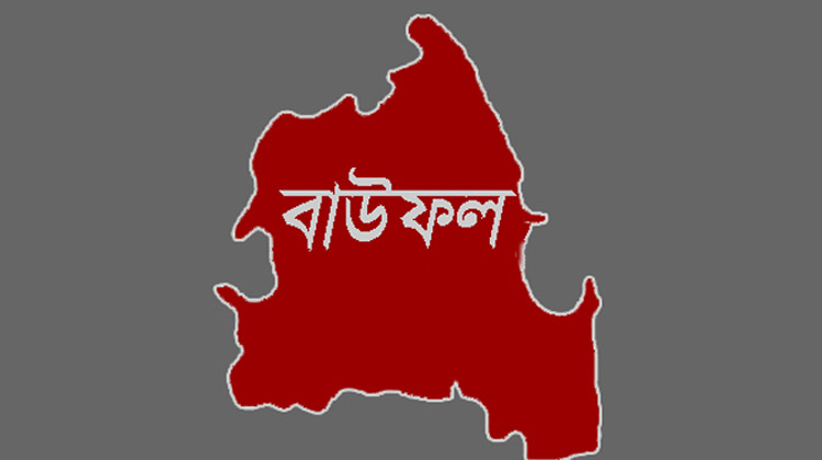 বাউফলে ইটবোঝাই ট্রলির চাপায় প্রাণ গেল চার বছরের শিশুর