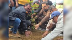 সংবর্ধনাস্থলের ক্ষত পুষিয়ে বৃক্ষরোপণ কর্মসূচি নেতৃত্বে আমিনুল হক