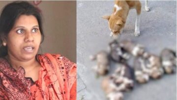 ঈশ্বরদীতে পানিতে ডুবিয়ে ৮ কুকুরছানা হত্যার অভিযোগে নিশি খাতুন গ্রেপ্তার