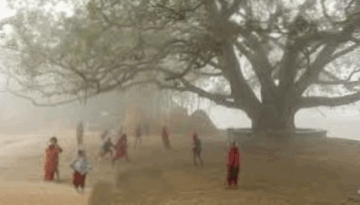 পাঁচ দিন ধরে ১০ ডিগ্রির নিচে তেঁতুলিয়া, বিপর্যস্ত জনজীবন