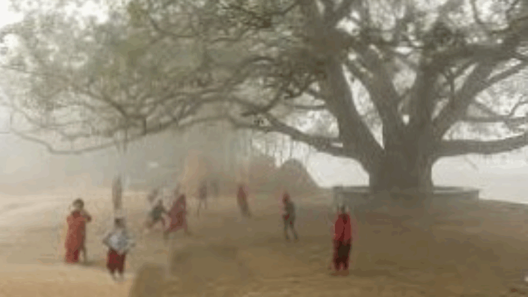 পাঁচ দিন ধরে ১০ ডিগ্রির নিচে তেঁতুলিয়া, বিপর্যস্ত জনজীবন