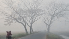 টানা শীতে কাঁপছে তেঁতুলিয়া, বিপাকে দিনমজুররা