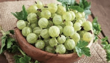 শীতে আমলকীর অতিরিক্ত উপকার