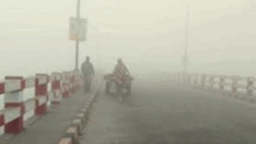 ঘন কুয়াশা ও তীব্র শীতে কুড়িগ্রামে স্থবির জনজীবন