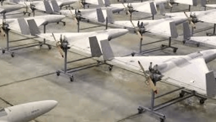 ড্রোন শক্তি বাড়াচ্ছে ভারত, ৮৫০টি ড্রোন কেনার সিদ্ধান্ত