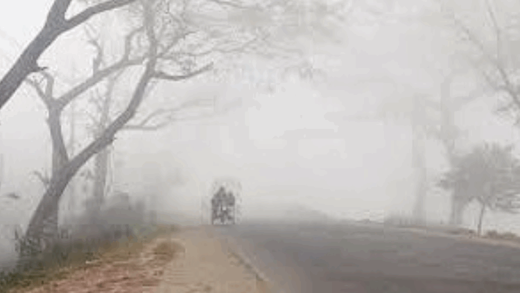 চুয়াডাঙ্গায় মৃদু শৈত্যপ্রবাহ, তাপমাত্রা ৯.৬ ডিগ্রিতে