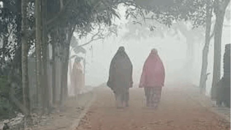 শীতের প্রকোপ বাড়ছে, জানুয়ারিতে শৈত্যপ্রবাহের আশঙ্কা