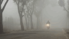 কনকনে শীতে কাঁপছে দেশ, ঘন কুয়াশায় বিপর্যস্ত জনজীবন