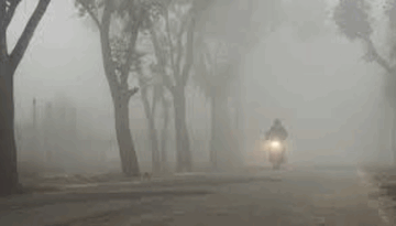 কনকনে শীতে কাঁপছে দেশ, ঘন কুয়াশায় বিপর্যস্ত জনজীবন