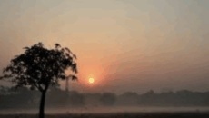 কুড়িগ্রামে তাপমাত্রা নেমে ১২ ডিগ্রি, শীতে স্থবির জনজীবন